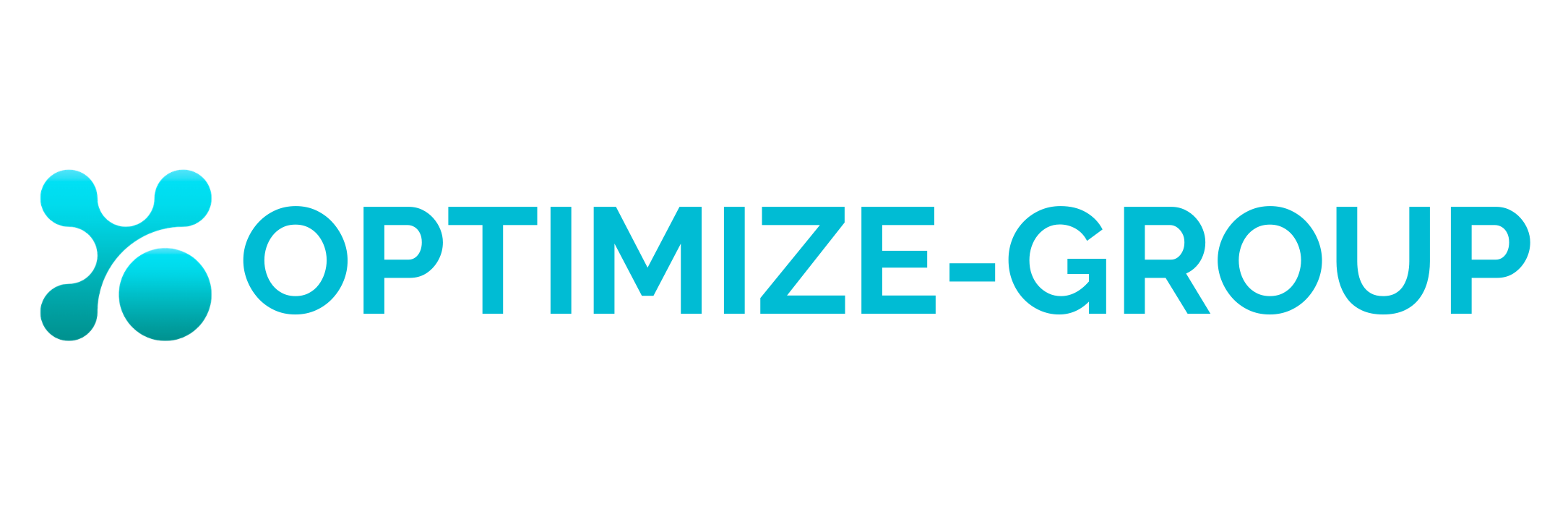 OPTIMIZE GROUP